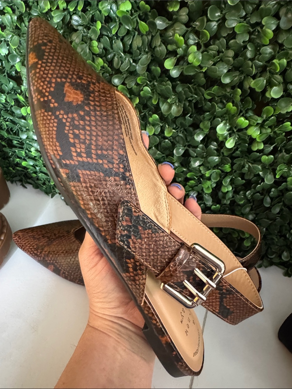 a new day Brown Snake-Print Pointed Slingback Flats - Picture 3 of 4